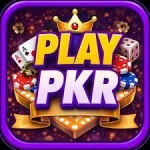 Playpkr Game APK icon