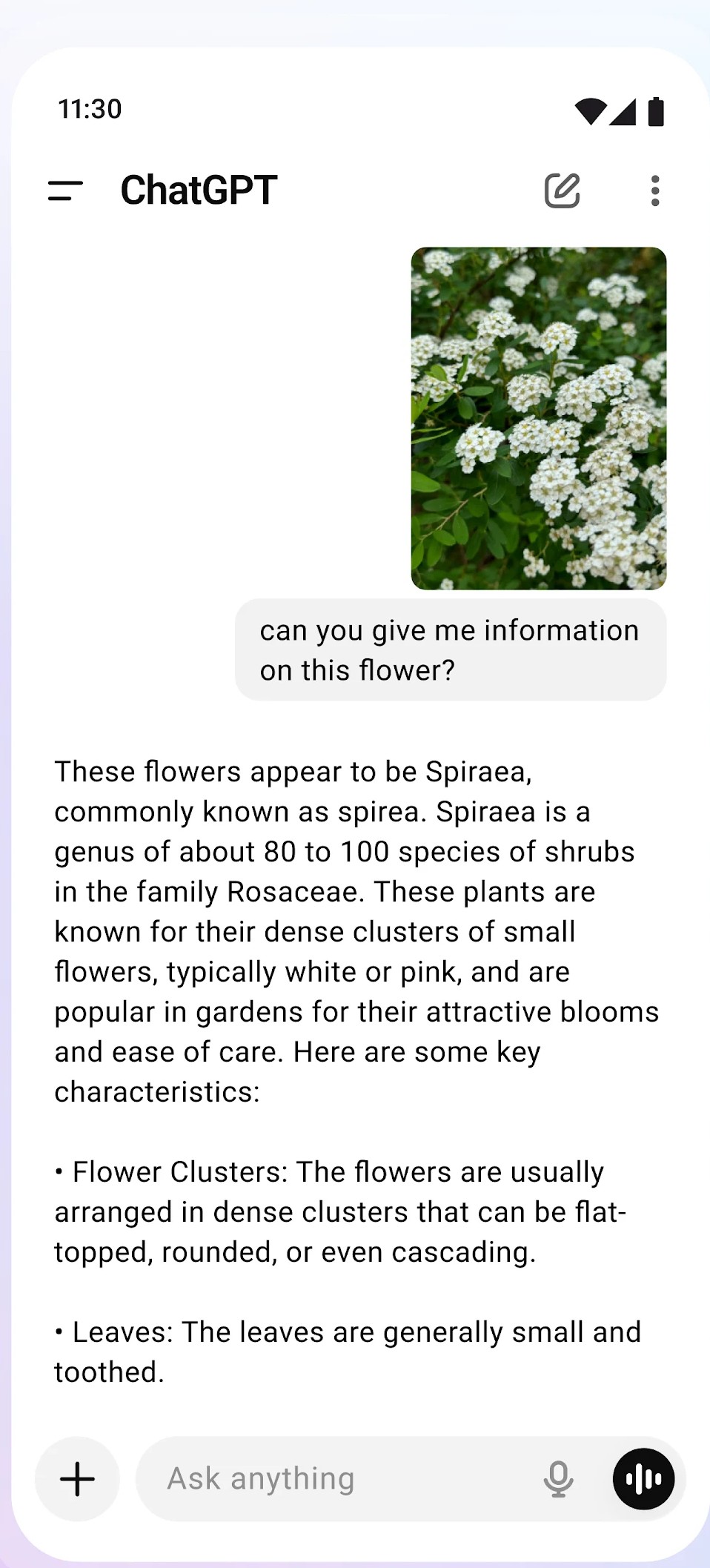 App screenshot
